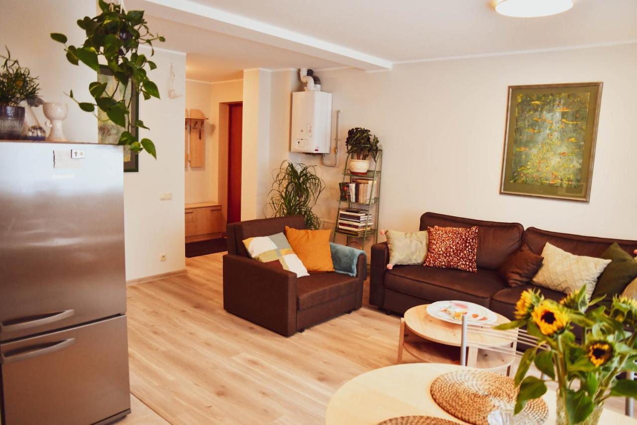 Central Park Apartment Birštonas Kültér fotó